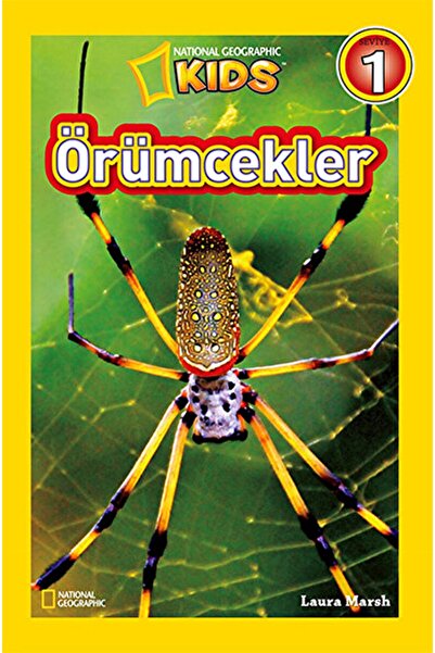 Beta Kids Örümcekler / Laura Marsh / / 9786053333524