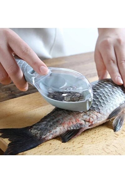 Leva House Balık Pulu Temizleme Aparatı