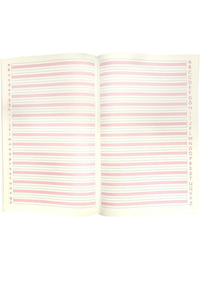 FLY COLOR دفتر كتابة جميل مخطط بحجم A4 - غطاء P.P مخيط