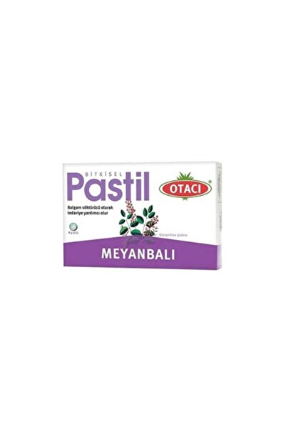Otacı STD Otacı Meyanbalı Pastil 16 Adet ( TEKLİDİR )