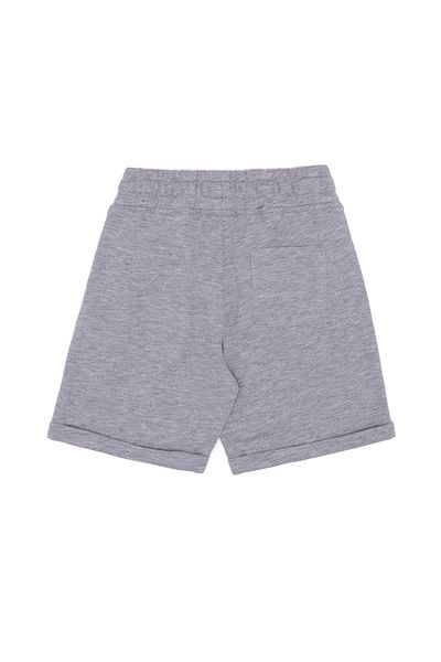 U.S. Polo Assn. Pantaloni scurți și bermude gri pentru băieți
