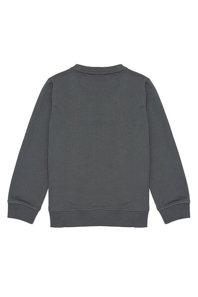 U.S. Polo Assn. Hanorac pentru băiat gri