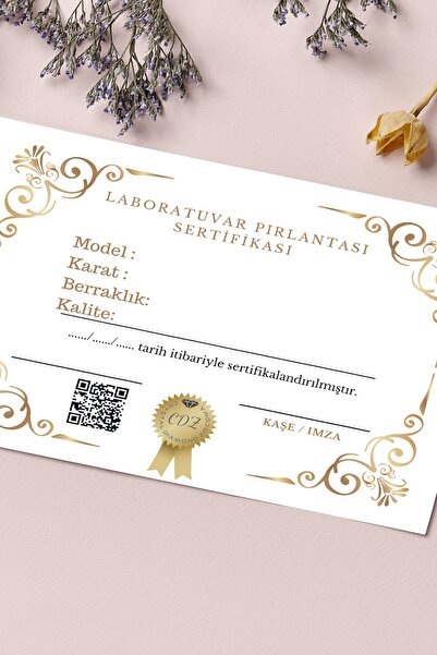 Crystal Diamond Zirconia Işıklı Kutuda 0.50 Carat Tektaş Küpe