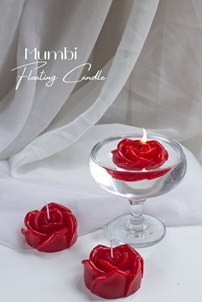 Rose Floating 3-Piece Set Candle Promise, Engagement, Wedding, Gift