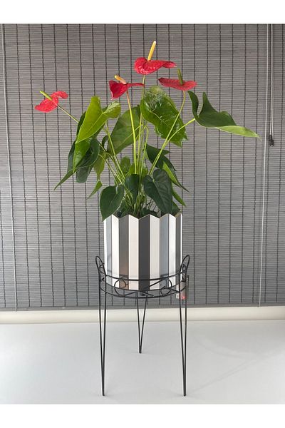 Bahçem 25.5x50cm Decorative Wrought Iron Wooden Flower Pot and Flower Pot Stand