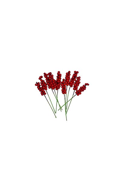 OzanTuhafiye Mini Stringed Necklace Berry Ornament 10 Pieces