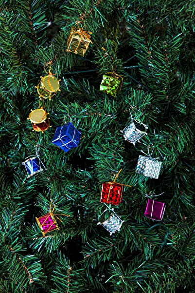 Waldern Πακέτο στολιδιών Χριστουγεννιάτικου Πεύκου 12 τεμαχίων 6 τύμπανα + 6 πακέτα δώρων