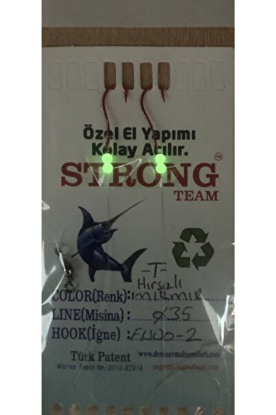 Strong Team Fosforlu Gece Özel Japon Fudo Iğne Hırsızlı T Beden Mırmır Takımı