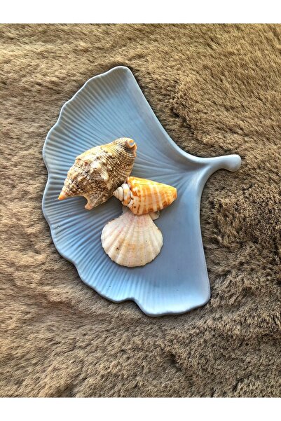 Nonno dekor Istiridye Sunum Tepsisi Takı / Hediyelik Dekoratif Modern Tepsi