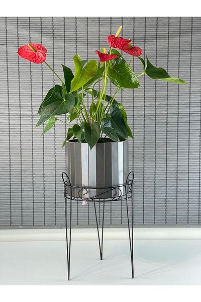 Bahçem 25.5x50cm Decorative Wrought Iron Wooden Flower Pot and Flower Pot Stand