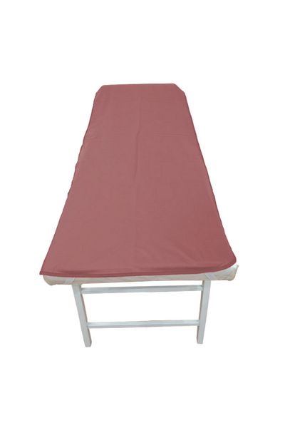 alez PVC Washable Pink Stretcher Cover, Elastic Stretcher Protector, Liquid Proof, Leak Proof Stretcher I