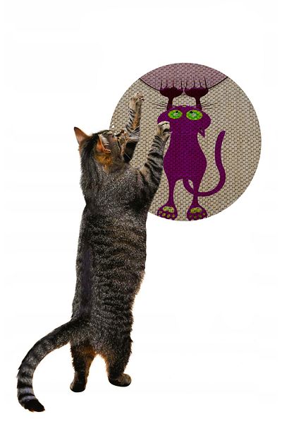 Glipet Patterned Double Sided Cat Scratching Mat Round 36x36 cm