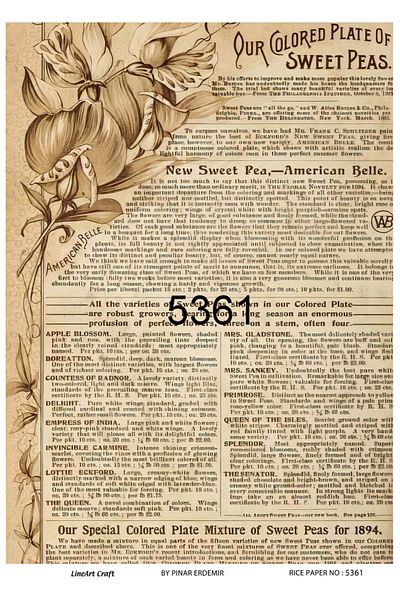 LİNEART Brass Decopage Paper La-5361