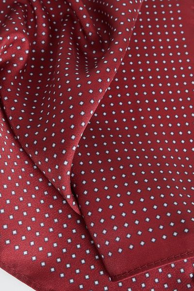ALTINYILDIZ CLASSICS Batista pentru bărbați cu model Burgundy