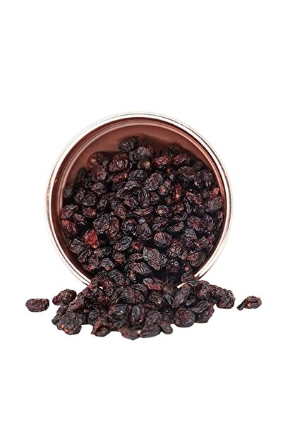 Şener Dried Fruit Blueberry Slice 100 Gr Snack
