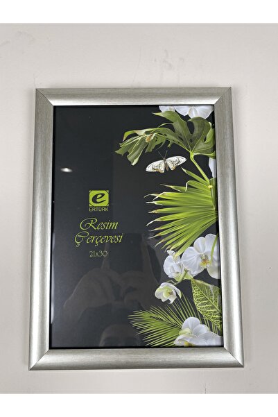 BELLARTE Gümüş Renk Sertifika-diploma Çerçevesi 21x30 Fotoğraf Çerçevesi , Du...