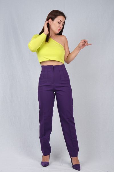 Shido Women's Purple Fabric Trousers