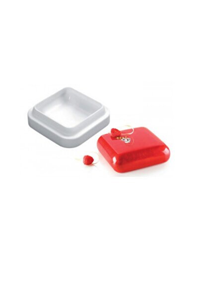 PASTRY PLANET Profesyonel Kare Silikon Kek Kalıbı