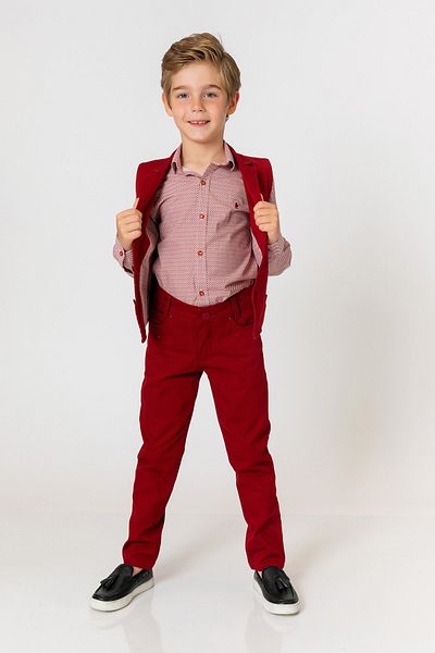 incity Boy's Burgundy Trousers