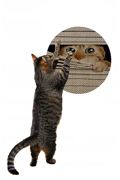 Glipet Patterned Double Sided Cat Scratching Mat Round 36*36 Cm