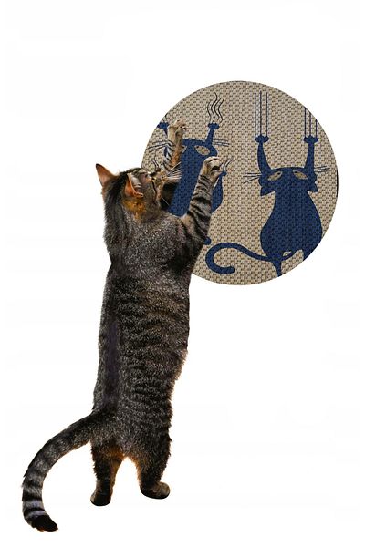 Glipet Patterned Double Sided Cat Scratching Mat Round 36*36 Cm
