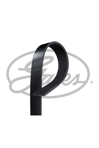 GATES Channelled Kayis Mercedes W463 10164 W164 W221 W251 A0029932996 8Pk2035