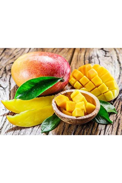 Genel Markalar Mango Fidanı 25 Ila 30 cm