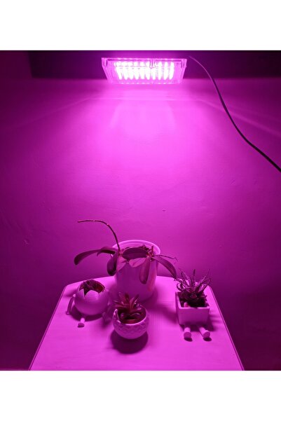 WOLFMAR Bitki Geliştirme Lambası Wm-200w 220v .