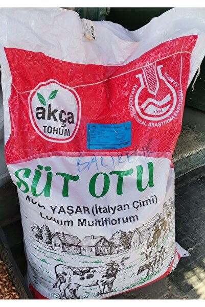 AKÇA 5 Kg Italyan Süt Otu Ryegrass Tohumu (orjinal Ambalajından Bölünerek Vak...