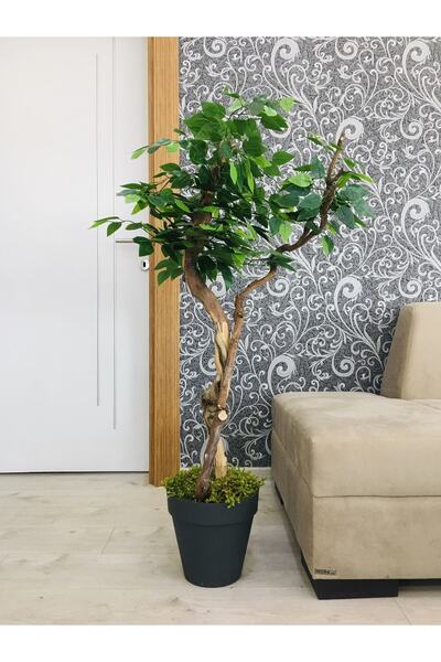 Asenya Yapay Çiçek 1 Adet 110 Cm Yeşil Yapraklı Benjamin Ağacı Saksıda Yapay Bitki Ağaç Bonsai Ağacı