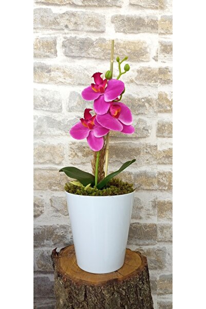 Asenya Orkide Yapay Çiçek 1 Adet 38 Cm Fuşya Orkide Çiçeği Yapay Bitki Ağaç S...