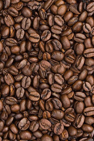 ALGÜR KAHVE Çekirdek Kahve 250 gr ( Türk Kahvesi)