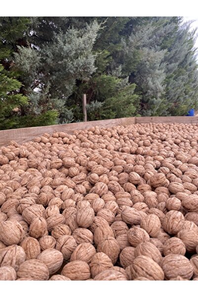 SULTAN CEVİZ BAHÇELERİ 5 Kg Ultra Lüks Ceviz Ince Kabuklu Chandler Cinsi Kuru Ceviz Yeni Hasat