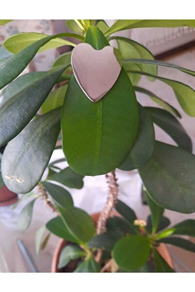 İMREN AKSESUAR 3 cm Hanging Nickel Metal Heart Button - Free 2 Pieces