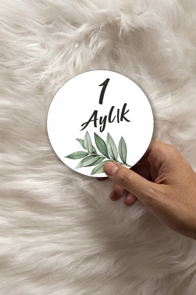 Kapbirhediye Bebek Fotoğraf Kartları Ahşap Aylık Anı Kartı Seti Yeni Doğan Anı Kartları 4