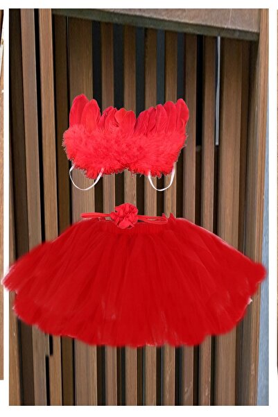 tullestore تنورة توتو للأطفال حديثي الولادة، صورة لحديثي الولادة، جناح الملاك...