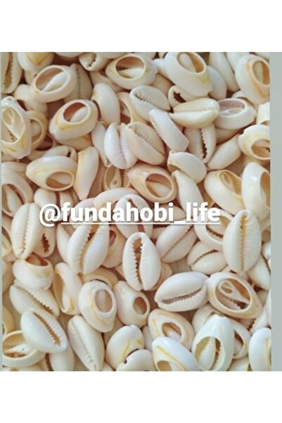 fundahobi صدف محمص 100 جرام