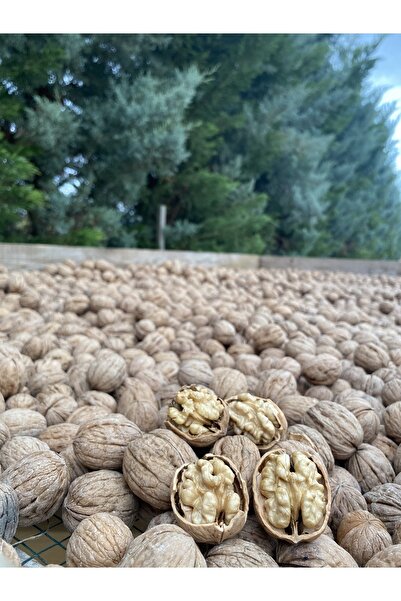 SULTAN CEVİZ BAHÇELERİ 5 Kg Ultra Lüks Ceviz Ince Kabuklu Chandler Cinsi Kuru Ceviz Yeni Hasat