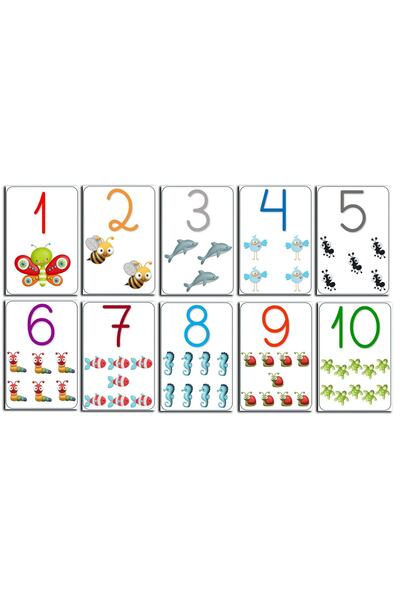 TELLGRAF REKLAM HİZMETLERİ بطاقات أرقام لمرحلة ما قبل المدرسة (كل منها 10 × 1...