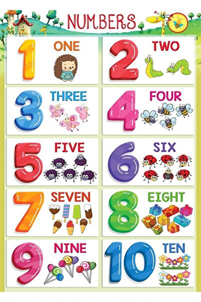 TELLGRAF REKLAM HİZMETLERİ سبورة أرقام إنجليزية للمدارس (25x35 سم)
