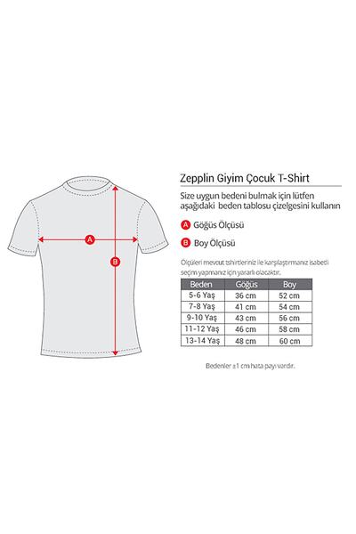 Z zepplin Tricou pentru copii Lebron James Color Negru
