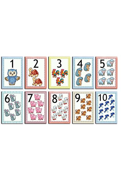TELLGRAF REKLAM HİZMETLERİ بطاقات أرقام لمرحلة ما قبل المدرسة (كل منها 10 × 1...