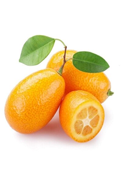 MYANAMUR 1 Kg Kamkat (altın Portakal)