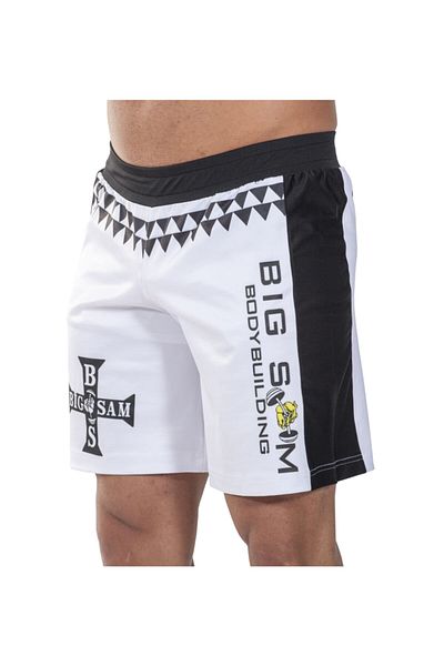 Big Sam Men's Fitness Shorts 1446