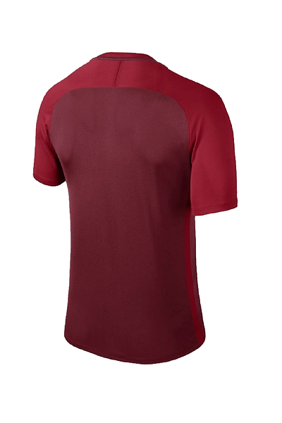 Nike Men's Jersey - Dry Trophy III Jsy -881483-677