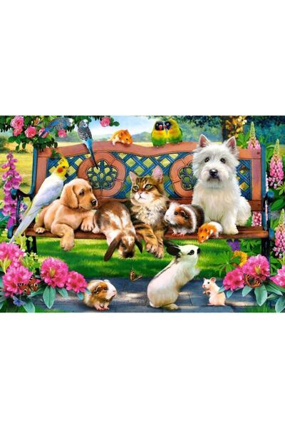Castorland Puzzle Parktaki Evcil Hayvanlar Çocuk Puzzle 180 Parca
