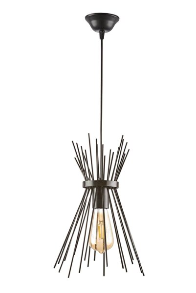 Rsylight Rys Retro Metal Tekli Siyah Rustik Dekoratif Kirpi Sarkıt Avize