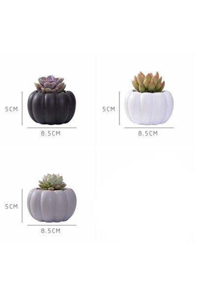 Genel Markalar 3'lü Kabak Saksı Seti