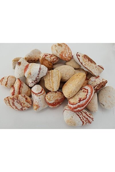 Asenya Sarı Çizgili Dolomit Taş 5 Kg 2-4 Cm Dere Taşı Çakıl Taşı Bahçe Süs Ta...