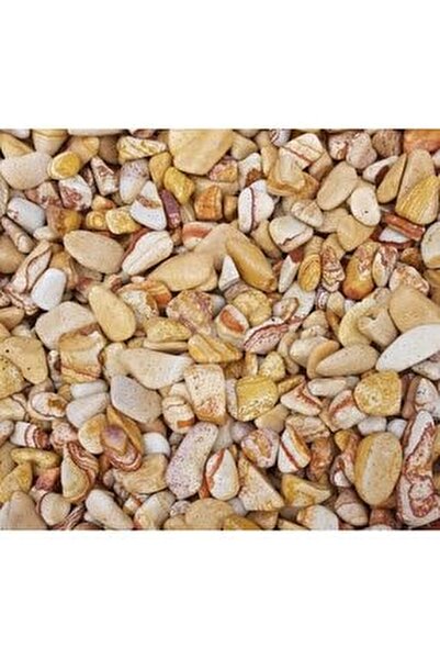 asenya sari cizgili dolomit tas 10 kg 2 4 cm dere tasi cakil tasi dekoratif tas fiyati yorumlari trendyol